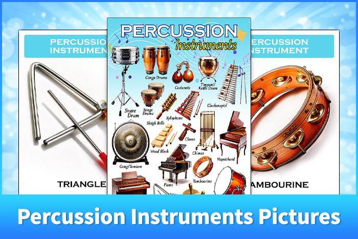 Percussion Instruments Pictures