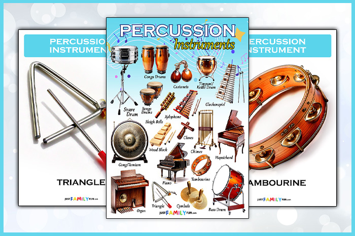 Percussion Instruments family list