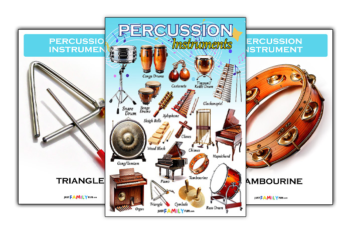 Percussion Instruments List With Pictures