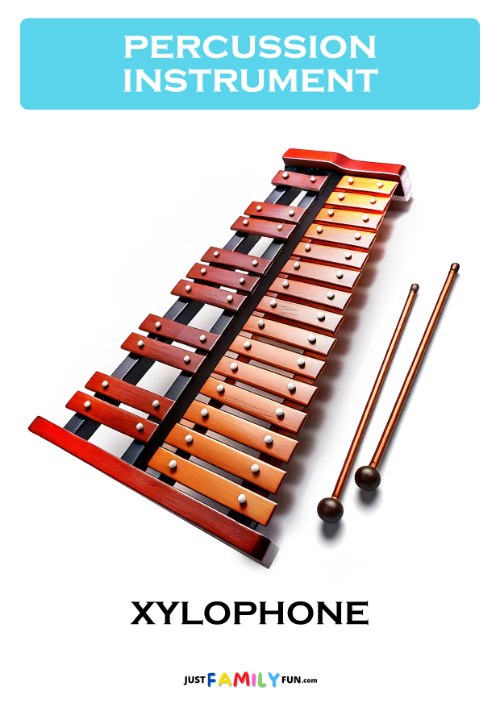 xylophone