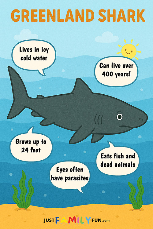 Fun Facts About Greenland Sharks