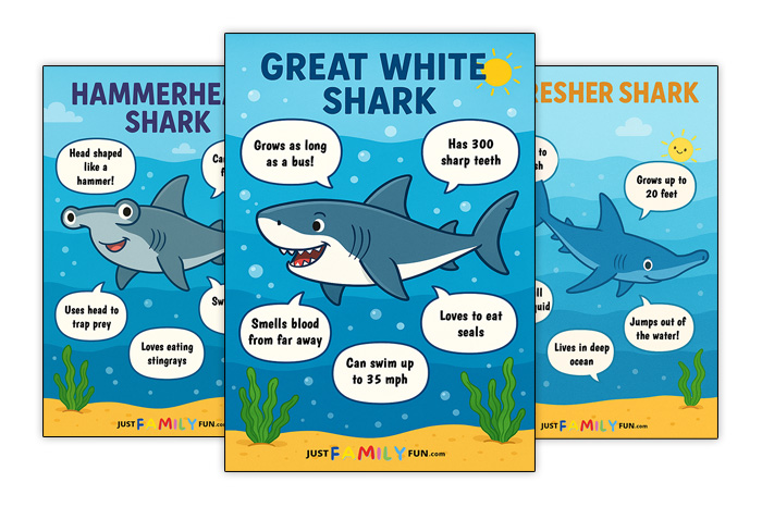 fun facts about sharks