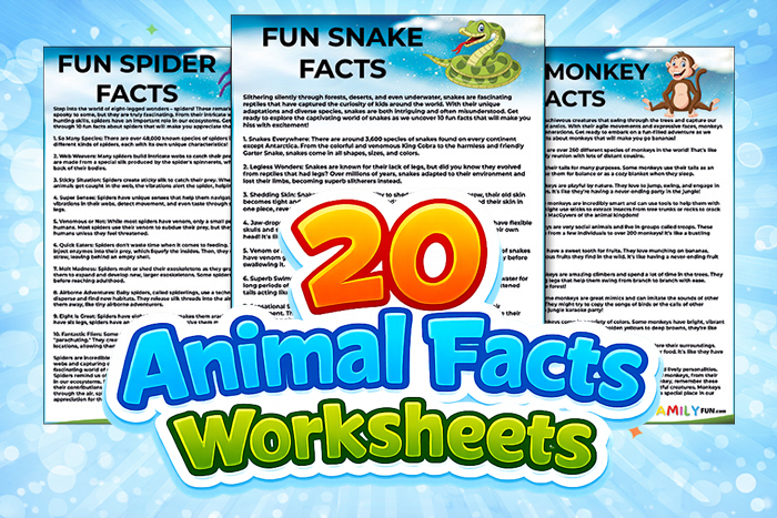 animal fact sheets