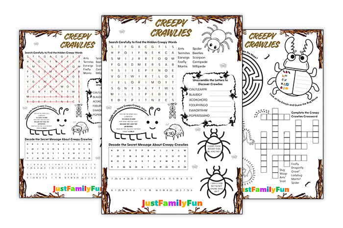 Creepy Crawlies Puzzles