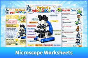 microscope worksheets